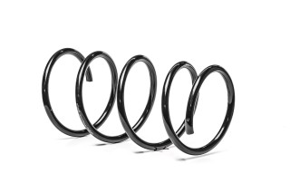 Пружина підв. MB A-Class передн. (вир-во DENCKERMANN)