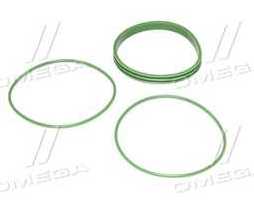Р/к ущільнювальних кілець гільзи ЯМЗ 236,238 (3 штуки 23/24/40, к-кт на одну гільзу, ФТОРСИЛІКОН)
