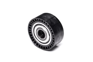 Ролик обвідний поліклінового ременя (Вир-во INA)