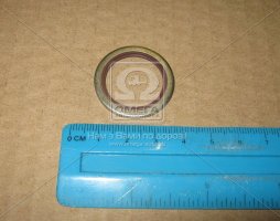 Кольцо уплотнительное маслосливной пробки MAN D0834 (22.7x30x2 мм)(06.56631.0110) (пр-во Elring)