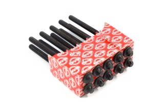 Комплект болтів головки блоку циліндрів 10 шт MB M273 M11x1,5x170 (2) (вир-во Elring)