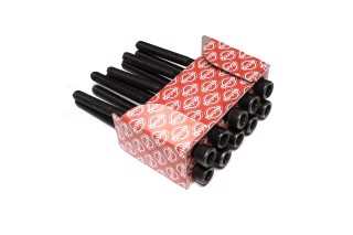 Комплект болтів головки цилідра TOYOTA 2,4 WTi 1AZ/2AZ (вир-во Elring)