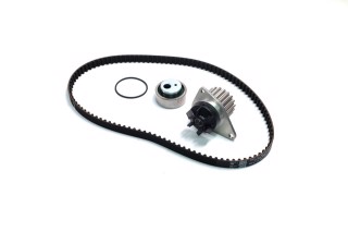 Комплекти натяжних роликів (вир-во INA)