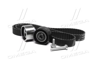 Комплекти натяжних роликів (вір-во INA)