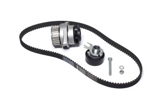 Комплекти натяжних роликів (вір-во INA)