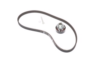 Комплекти натяжних роликів (вир-во INA)