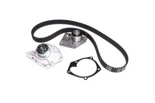 Комплекти натяжних роликів (вир-во INA)