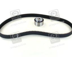 Ремінь, ролики ГРМ (компл.) FIAT (Вир-во Ina)