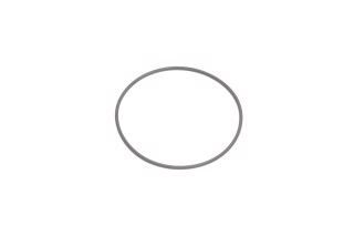 Кольцо форсунки с o-сечением (пр-во Bosch)