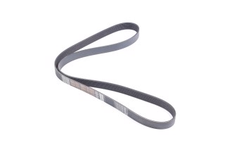 Ремень поликлиновой 8PK1565HD TRUCK (пр-во DAYCO)