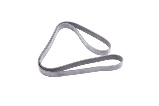 Ремень поликлиновой 8PK1952HD TRUCK (пр-во DAYCO)