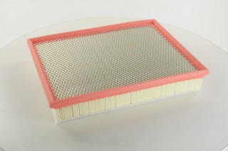 Фільтр повітряний BMW X5, X6 WA9656/AP 029/1 (вир-во WIX-FILTERS)