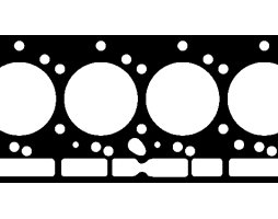 Прокладка головки блока цилиндров (пр-во Corteco). 411456P