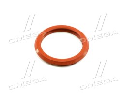 Прокладка в клапанній кришці PSA 2.2 HDi DW12ME5 (2) (вир-во Corteco)