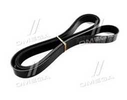 Ремінь поліклін. (Вир-во DAYCO)