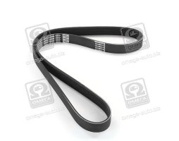 Ремінь поліклін. (Вир-во DAYCO)