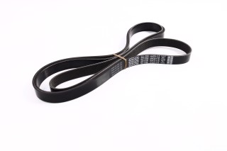 Ремінь поліклін. (вир-во DAYCO)