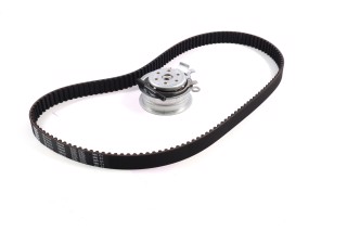 Ремінь ГРМ з роликами, комплект VAG (Вир-во SKF)