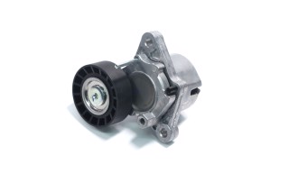 Ролик натяжний ременя ГРМ HYUNDAI, KIA (вир-во ASHIKA)