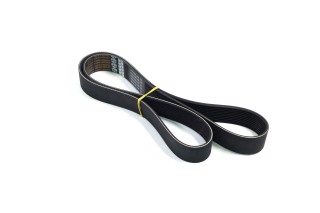 Ремень поликлиновой (пр-во DAYCO)