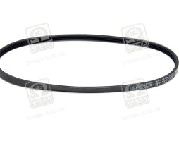 Ремінь поліклін. (Вир-во DAYCO)