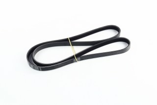 Ремінь полікліновий (Вир-во DAYCO)