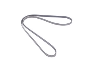 Ремінь полікліновий (Вир-во DAYCO)