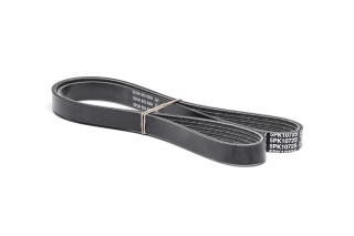 Ремінь поліклин. (вир-во DAYCO)