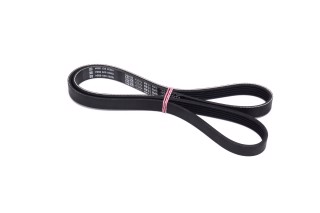 Ремінь полікліновий (Вир-во DAYCO)