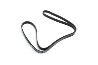 Ремінь полікліновий (Вир-во DAYCO)