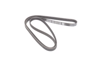 Ремінь полікліновий (Вир-во DAYCO)