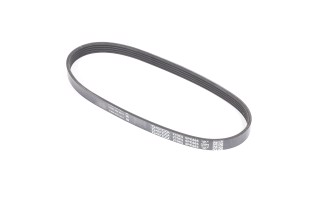 Ремень поликлиновый (пр-во DAYCO)