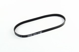 Ремінь полікліновий (Вир-во DAYCO)