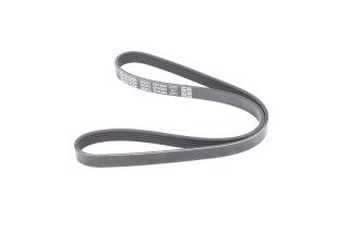 Ремень поликлиновый (пр-во DAYCO)