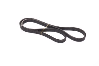 Ремень поликлиновый (пр-во DAYCO)