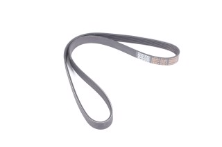 Ремінь поліклін. 6PK1013HD (вир-во DAYCO)