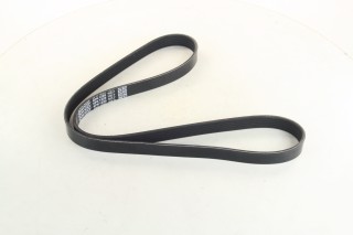 Ремінь полікліновий (Вир-во DAYCO)