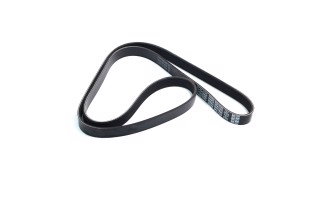 Ремінь полікліновий (Вир-во DAYCO)