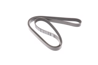 Ремінь полікліновий (Вир-во DAYCO)