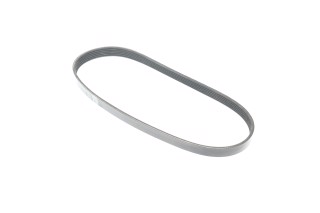 Ремінь полікліновий (Вир-во DAYCO)