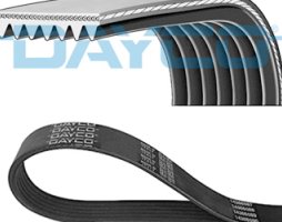 Ремінь полікліновий (Вир-во DAYCO)