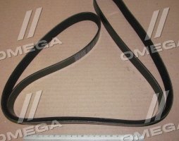 Ремінь полікліновий (Вир-во DAYCO)