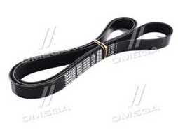 Ремінь поліклін. (Вир-во DAYCO)