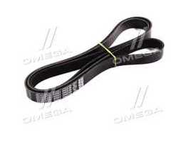 Ремінь поліклін. (Вир-во DAYCO)