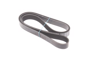 Ремінь полікліновий (Вир-во DAYCO)