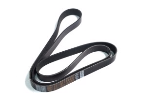 Ремінь поліклін. (вир-во DAYCO)