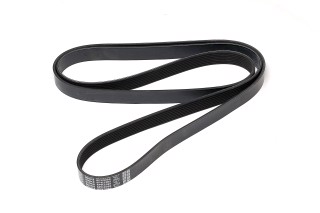 Ремінь полікліновий (Вир-во DAYCO)