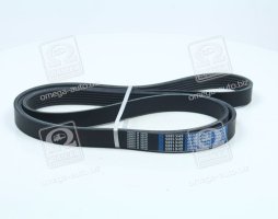 Ремень поликлиновой 6PK1885 (пр-во DONGIL)