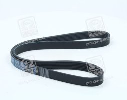 Ремень поликлиновой 6PK1100 (пр-во DONGIL)