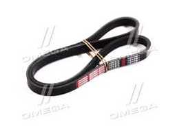 Ремень поликлиновой 4PK875 (пр-во DONGIL)